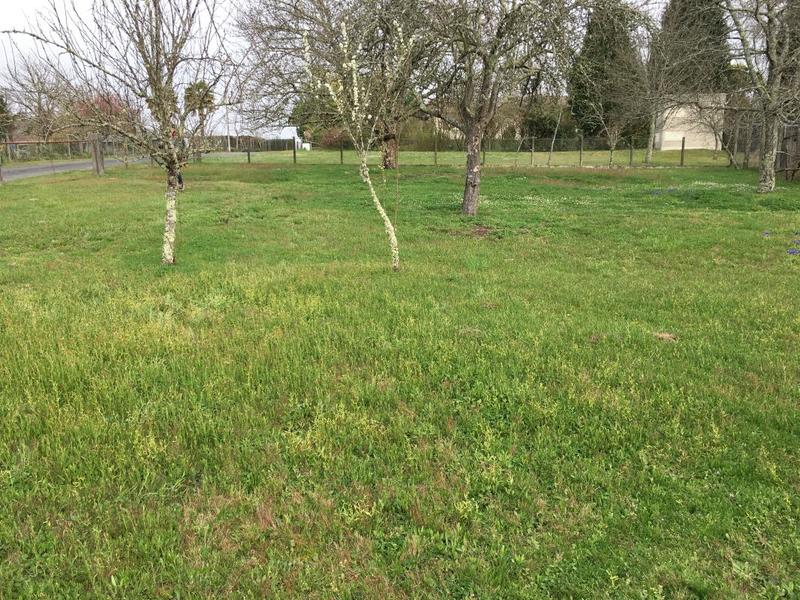 Terrain constructible - 937 m²