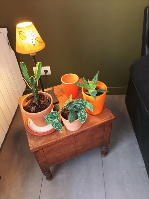 Appartement - 68 m² - 4 pièces