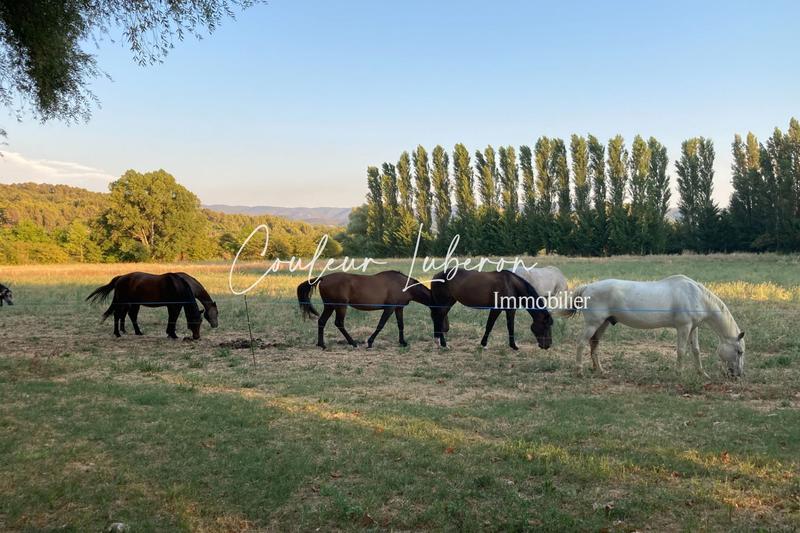Propriété - 600 m² - 14 pièces