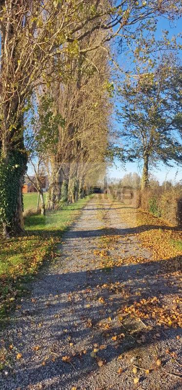 Ferme - 200 m² - 6 pièces