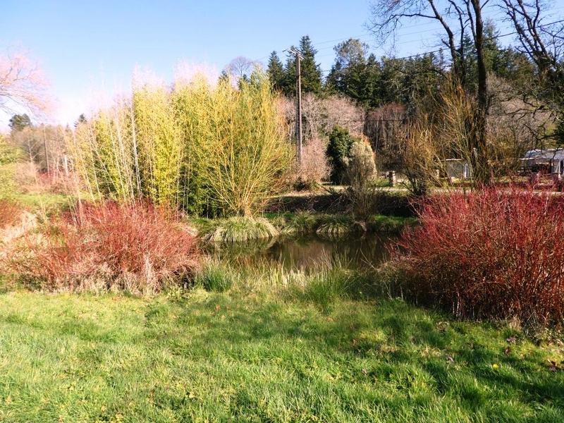 Propriété - 148 m² - 7 pièces