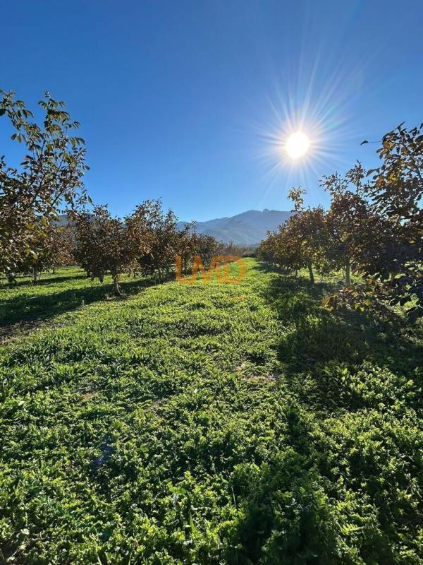 Mas - 288 m² - 5 pièces