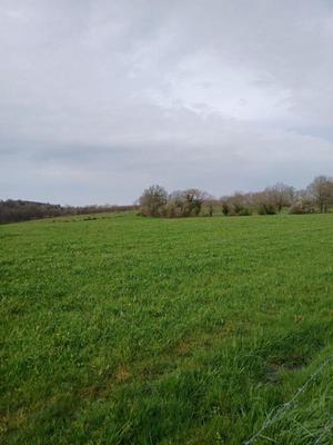 Terrain agricole - 102 500 m²