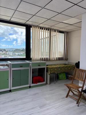 Bureau - 35 m² - 2 pièces