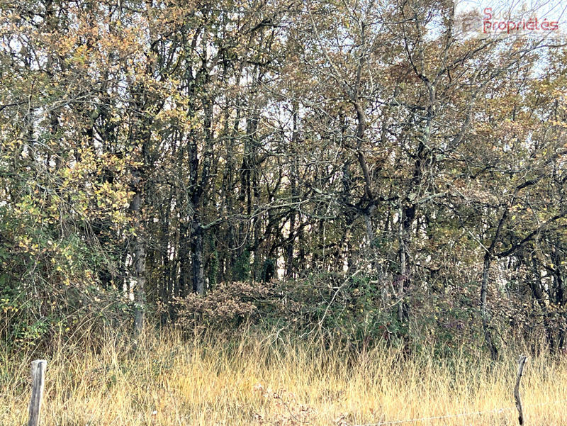 Terrain - 550 000 m²