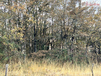 Terrain - 550 000 m²