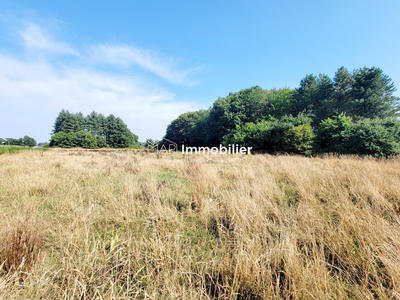 Maison ancienne - 104 m² - 6 pièces