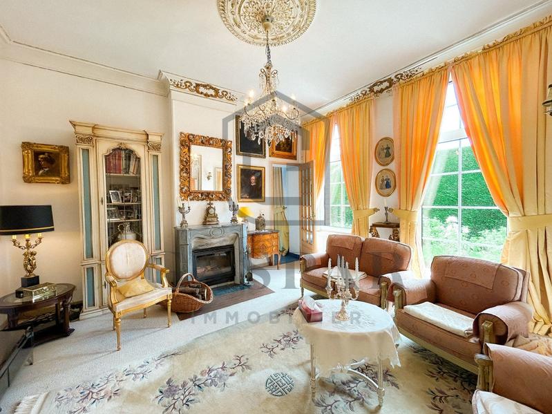 Château - 477 m² - 13 pièces