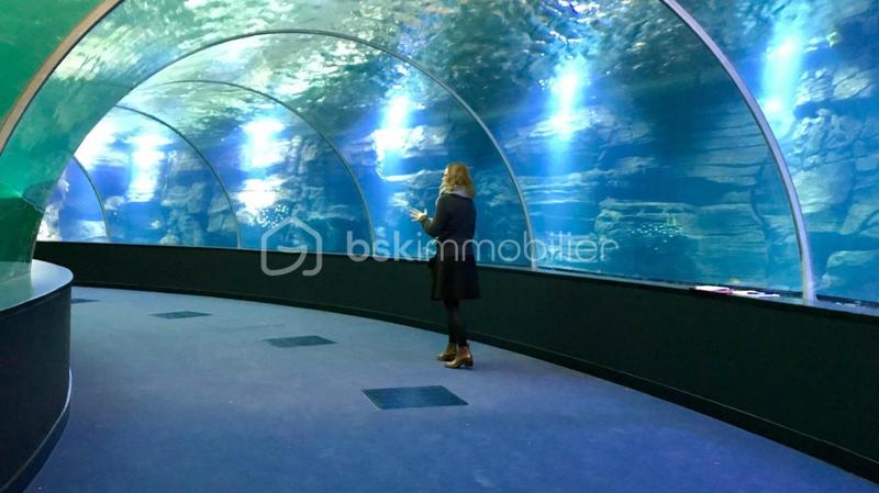 Immeuble - 380 m² - 14 pièces