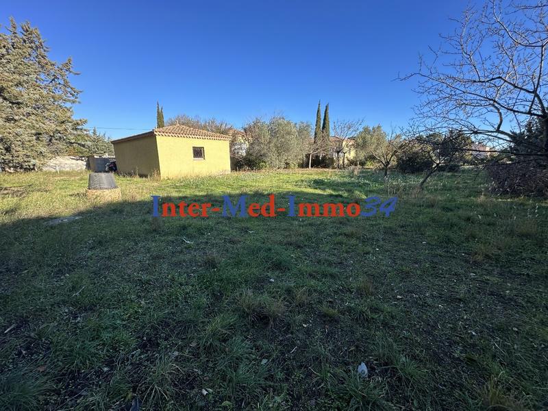 Villa - 225 m² - 5 pièces