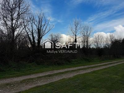 Terrain - 7 419 m²