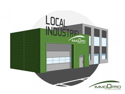 Local d'activité / Entrepôt - 1 123 m²