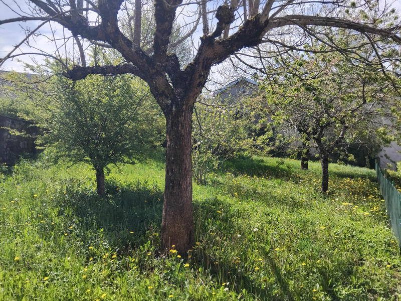 Maison - 136 m² - 7 pièces