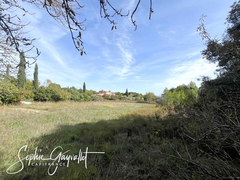 Terrain constructible - 3 000 m²
