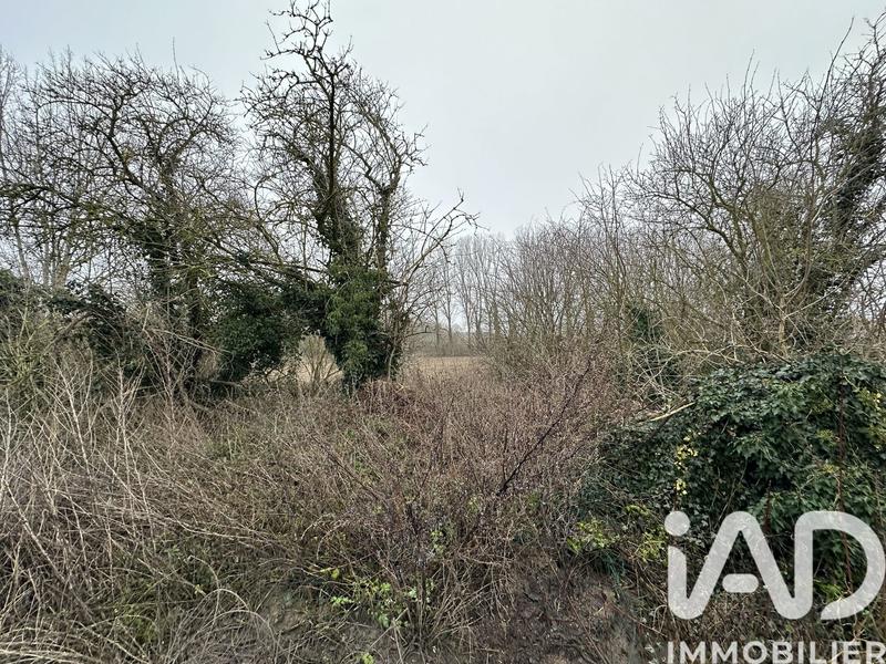 Terrain - 26 061 m²