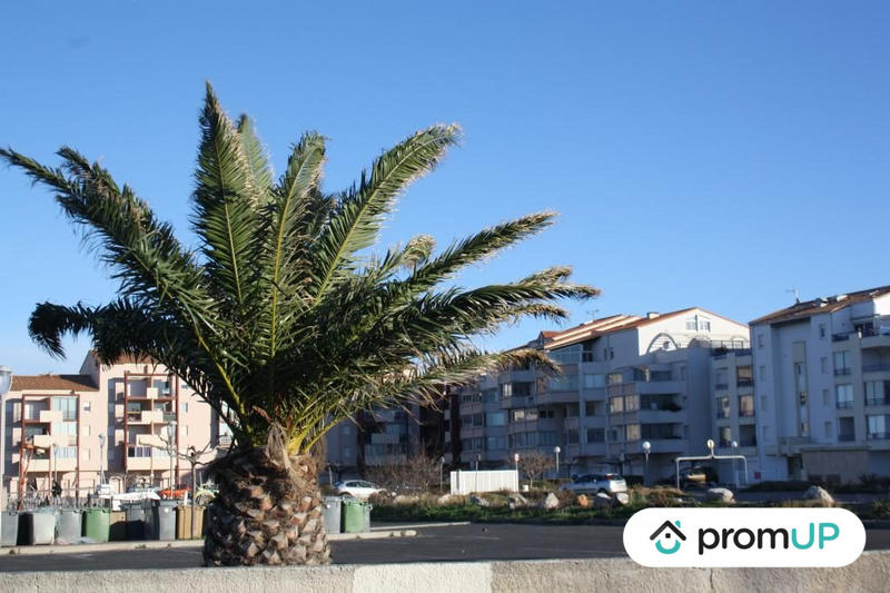 Appartement - 31 m² - 2 pièces