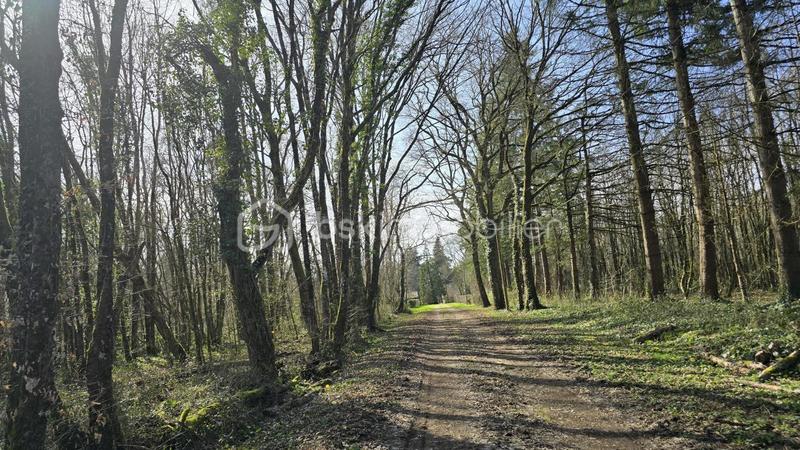 Maison en pierre - 178 m² - 5 pièces