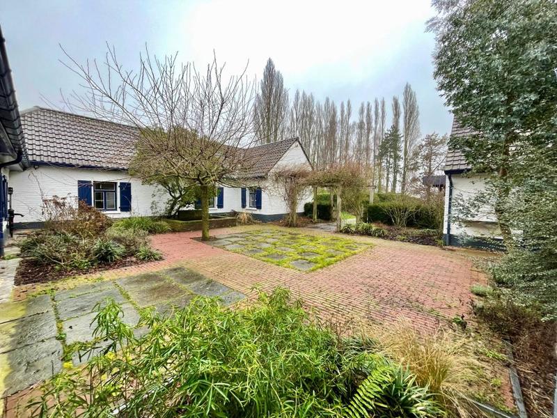 Ferme - 262 m² - 8 pièces