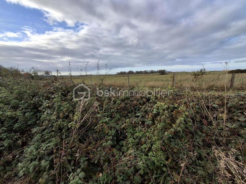 Maison - 116 m² - 5 pièces