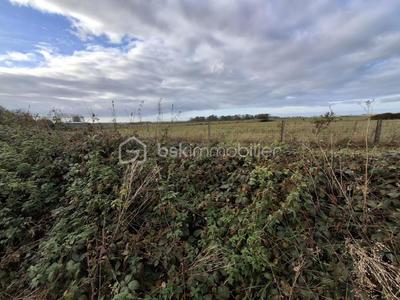 Maison - 116 m² - 5 pièces