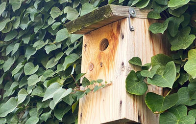 Mercredi nature : on prépare le printemps