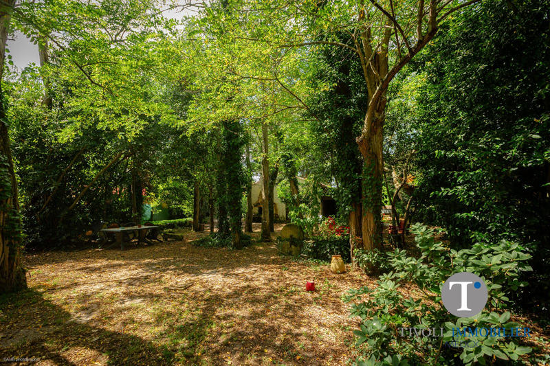 Maison ancienne - 190 m² - 6 pièces