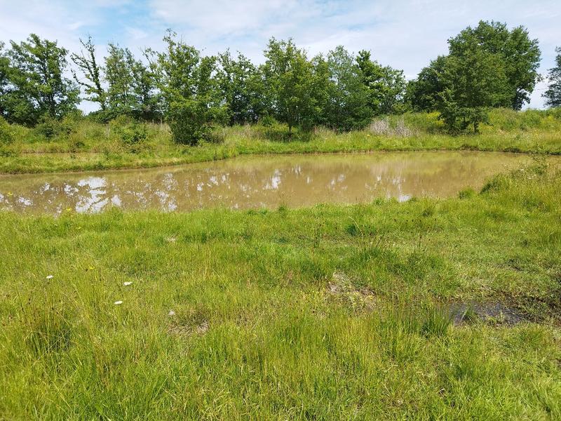 Propriété - 221 m² - 10 pièces