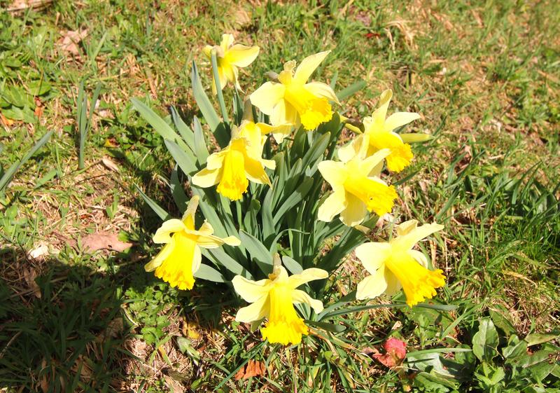 Châlet - 73 m² - 5 pièces