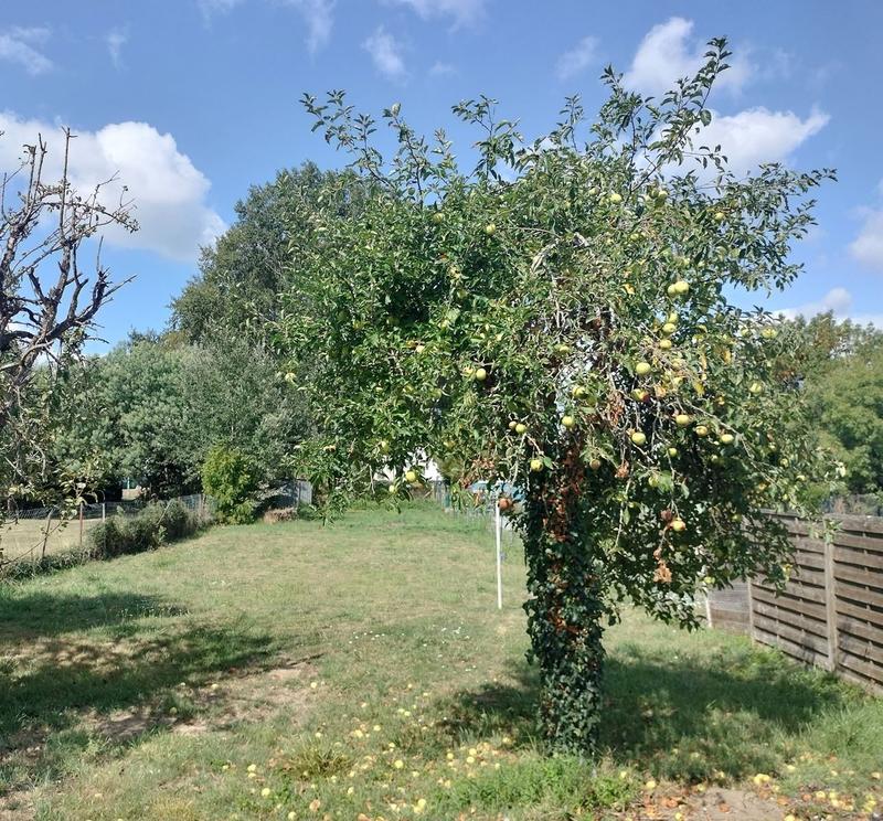 Maison - 74 m² - 4 pièces