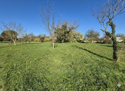 Terrain constructible - 2 800 m²