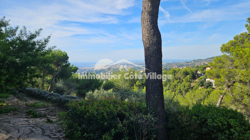 Viager - Maison - 110 m² - 4 pièces