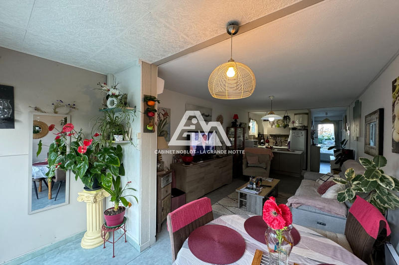 Viager - Appartement - 38 m² - 2 pièces