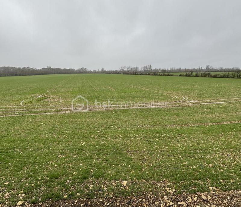 Corps de ferme - 299 m² - 6 pièces