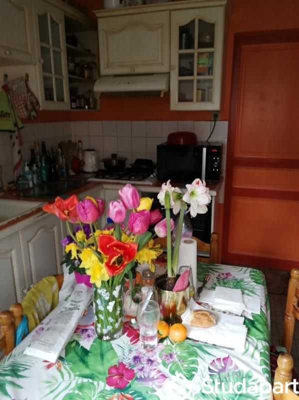 Maison - 40 m² - 2 pièces