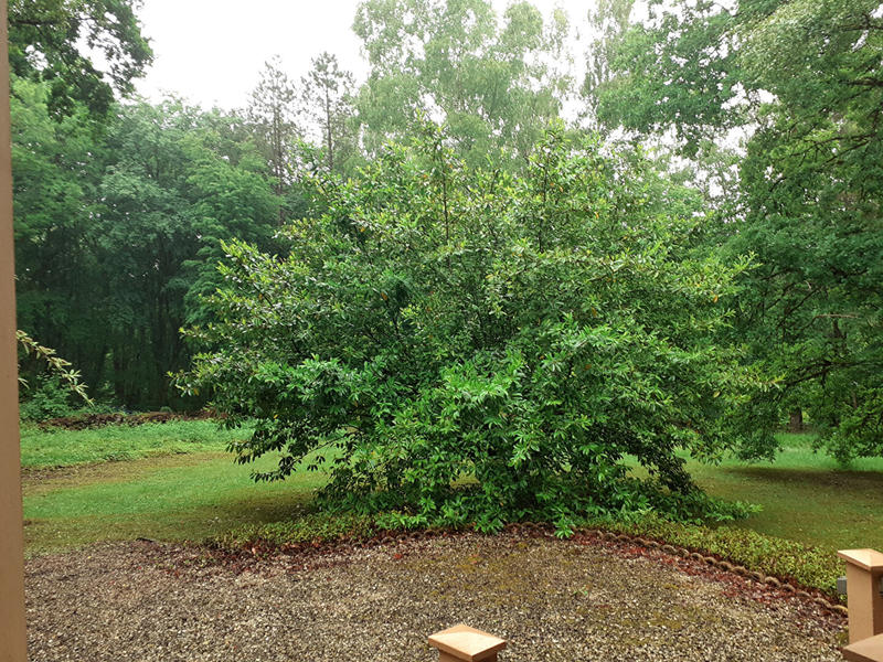 Terrain de loisirs - 3 400 m²