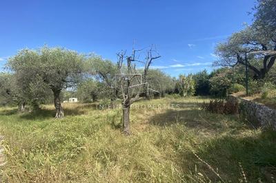 Terrain - 2 550 m²