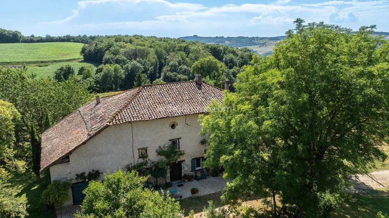 Viager - Maison - 185 m² - 7 pièces