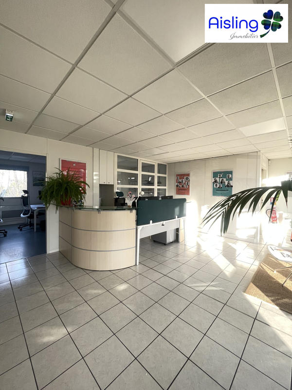 Bureau - 270 m²