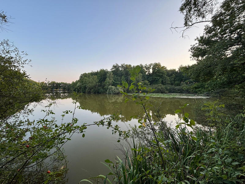 Terrain de loisirs - 43 162 m²