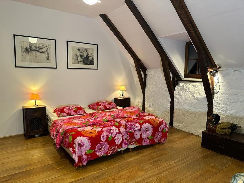 Moulin - 230 m² - 6 pièces