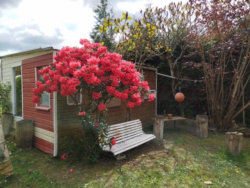 Maison - 176 m² - 5 pièces