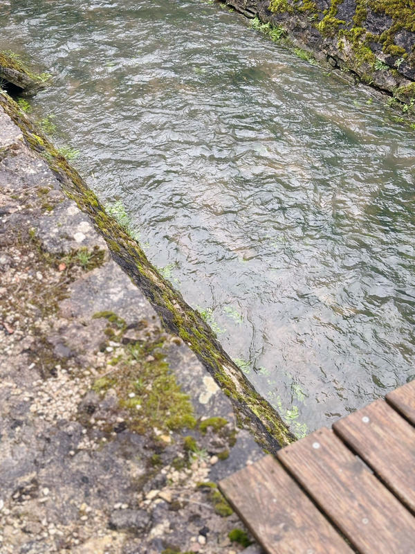 Maison - 217 m² - 5 pièces