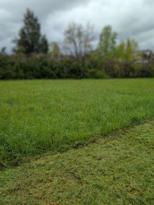 Terrain constructible - 900 m²