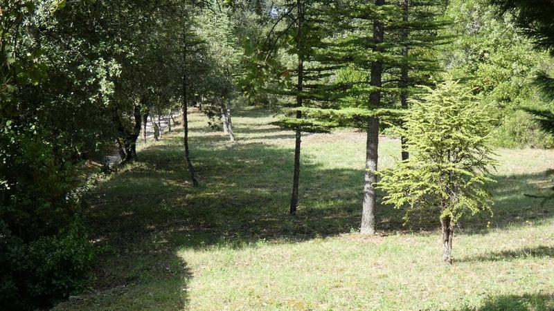 Propriété - 272 m² - 9 pièces