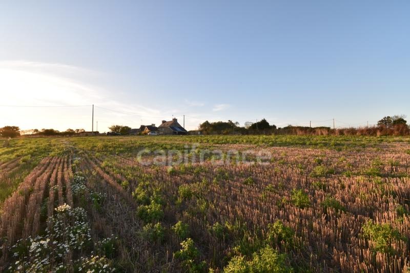 Maison en pierre - 75 m² - 4 pièces