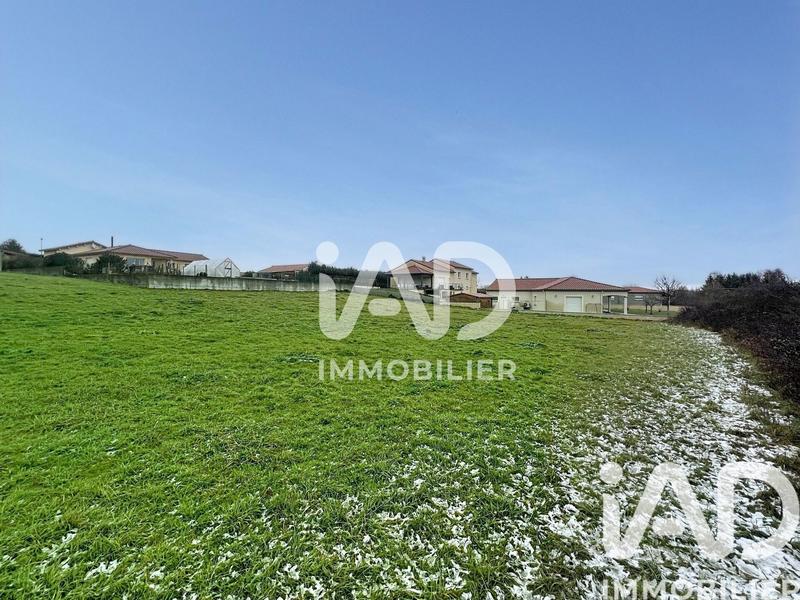 Terrain - 4 242 m²