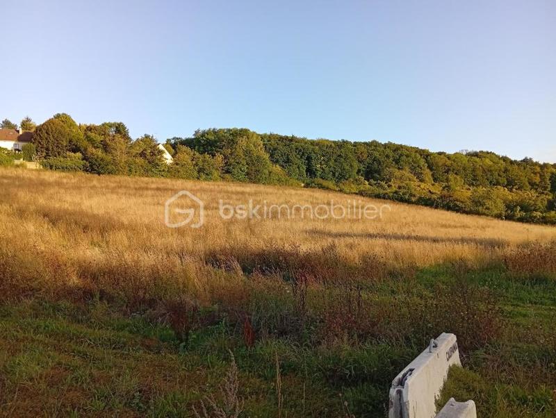 Terrain agricole - 10 469 m²