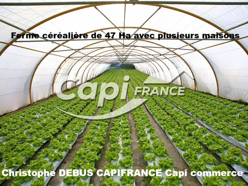 Terrain agricole - 470 000 m²