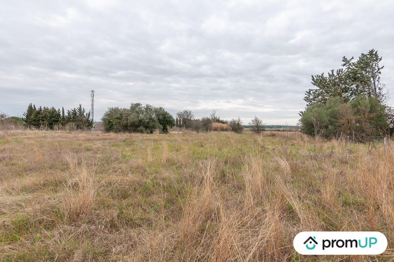 Terrain agricole - 10 601 m²