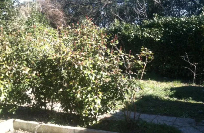 Studio - 16 m² - 1 pièce